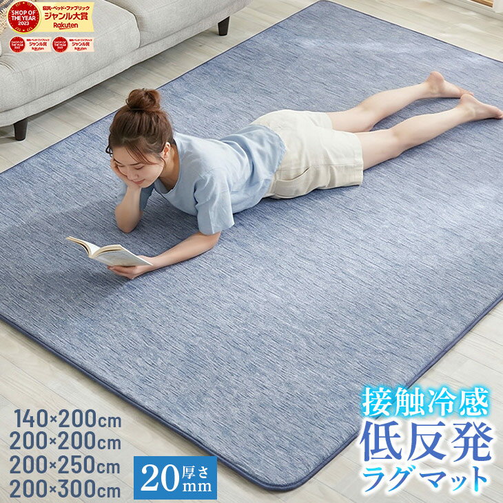 【最終処分価格！3820円〜】 低反発 ラグ ラグマット 接触冷感 選べるサイズ ひんやり ラグマット 低反発 厚20mm 防音 フロア 床 滑り止め付 厚手 ふかふか 北欧 冷感 涼しい クールマット 節電 エコ 極厚 夏