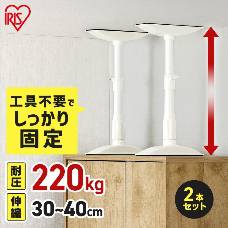 家具転倒防止 突っ張り棒 アイリスオーヤマ 家具転倒防止伸縮棒 Sサイズ 2本セット 伸縮幅 30〜40cm 耐圧220kg 家具 固定 防災 災害 地震対策 防災用品 工具不要 つっぱり棒 家具転倒防止グッズ 転倒防止器具 KTB-30R *