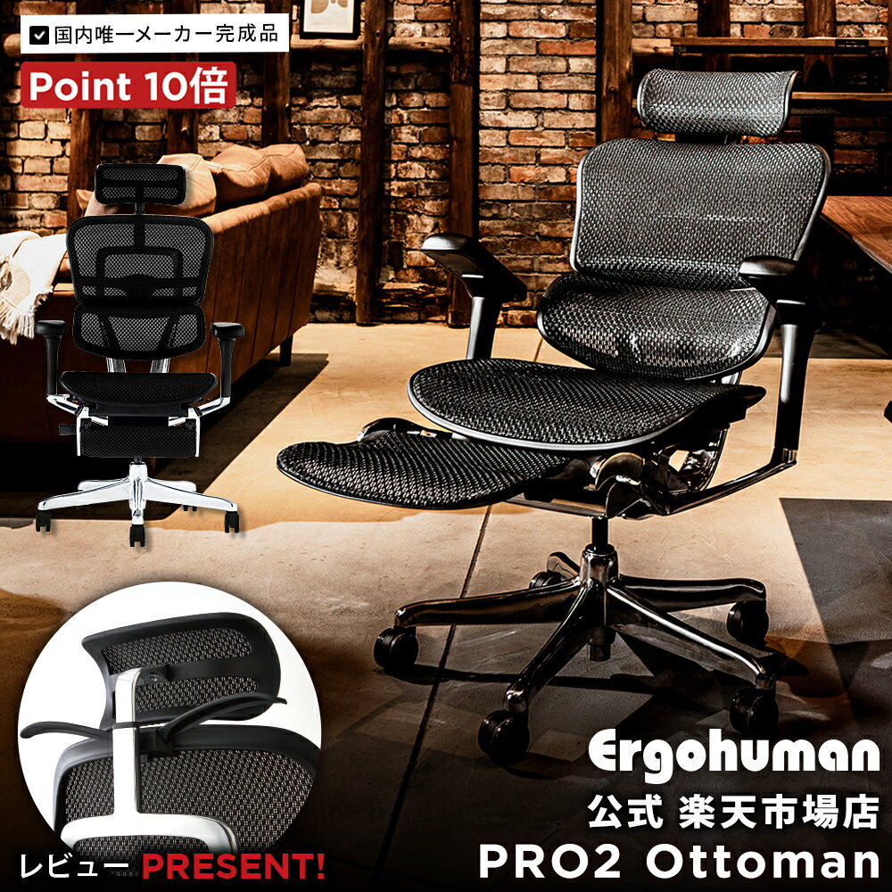 【メーカー組立済完成品】エルゴヒューマン プロ2 オットマン【 メーカー完成品・設置・梱包材処分無料・ポイント10倍】オットマン内蔵 / アルミフレーム/ヘッドレスト / 独立ランバーサポート / 高機能メッシュチェア / EHP2-LPL-DR / 5Dアーム選択可