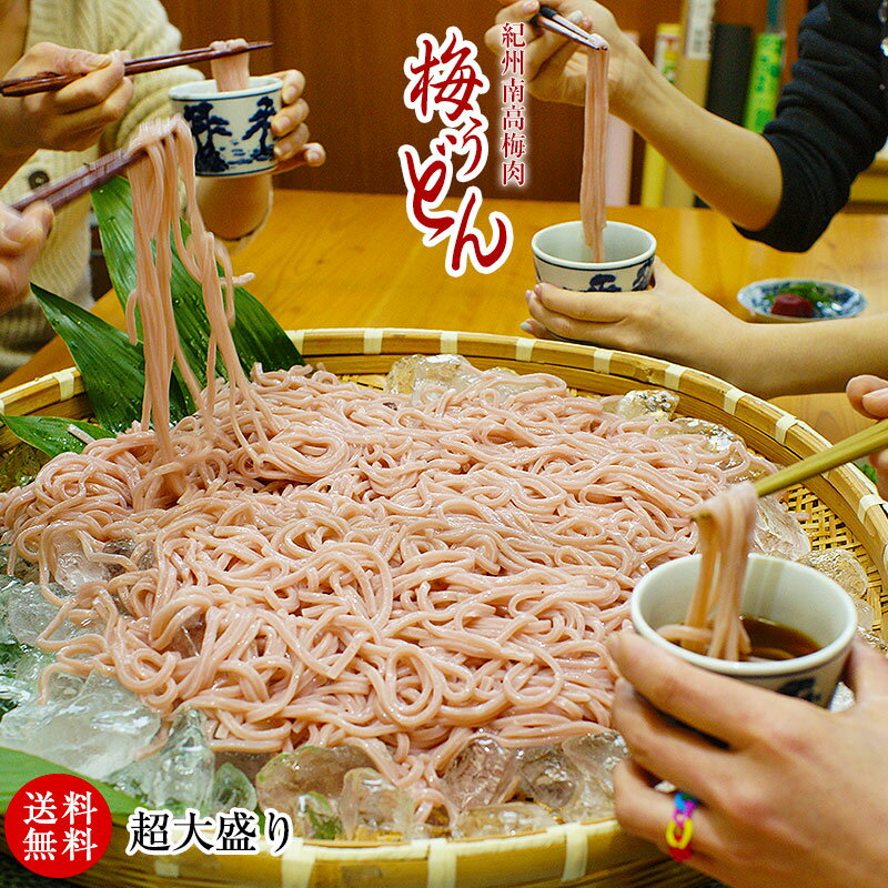 ご家庭用 お買得夏麺！ 大盛り冷し梅うどん8食セット 【送料無料】 （麺、めんつゆ、梅干150g付） 代々木公園 U-1グランプリ出場 ざるうどん ランキング1位獲得 テレビでも人気の冷しうどん たっぷりお買得セット