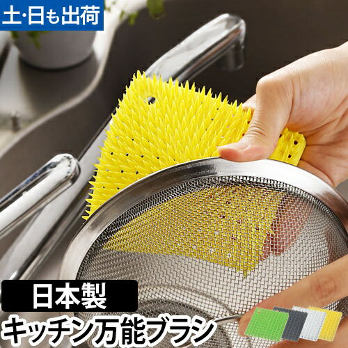 たわし/万能ブラシ プラタワ フォーキッチン シンク 掃除ブラシ キッチン タワシ 掃除用具 泥落とし tidy ティディ ◆メール便配送◆