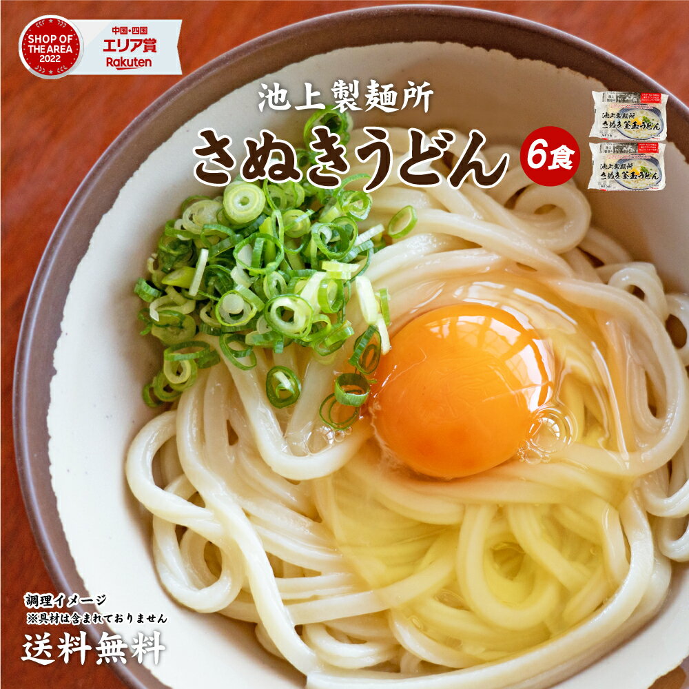 うどん 讃岐うどん 釜玉うどん 6食 300g×2袋 だし醤油付き 送料無料 池上製麺所 特製 麺 名店 銘店 おためし お試し グルメ ご当地グルメ 香川 ポイント消化 ポイント利用 ポッキリ ポスト投函 ぶっかけうどん ざるうどん 麺屋 どんまい