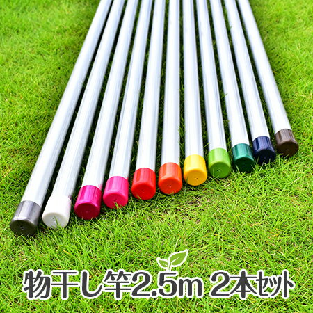 物干し竿2本セット 竿30パイ×2．5mシルバ色 1本竿 錆びないアルミ合金 おしゃれ ものほし竿 洗濯竿 ものほし 干し竿 伸縮 物干しざお【メーカー1年保証】【日本製】
