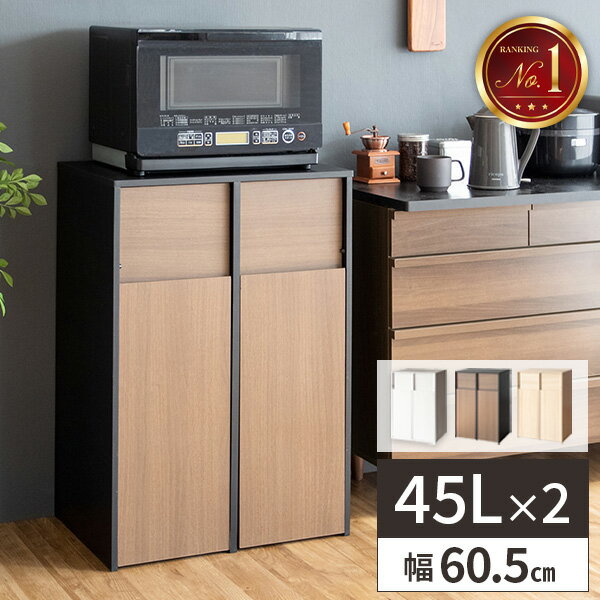 分別 ゴミ箱 45リットル 45l 天板付き 家電が置ける 大容量 キャスター付き キッチン ナチュラル スタイリッシュ 新生活 ごみ箱 おしゃれ 北欧 白 ダストボックス オシャレ リビング 木製 縦型 2分別