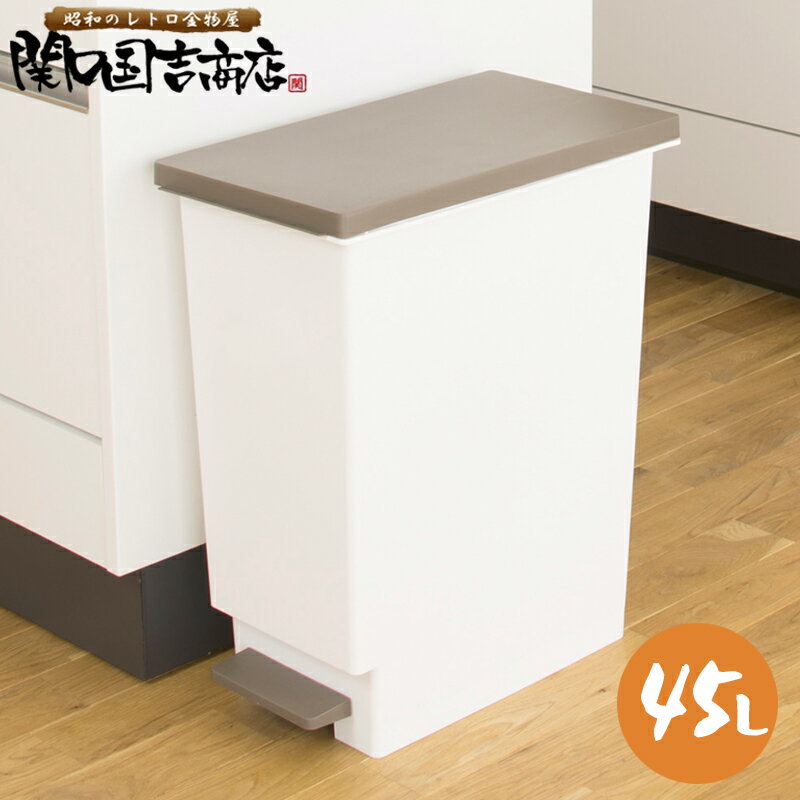 ネオカラー ゴミ箱 分別スリムペダル 45リットル ゴミ箱 ペダル 分別 トンボ 45 / ごみ箱 スリム ふた付き 45L プラスチック TONBO /