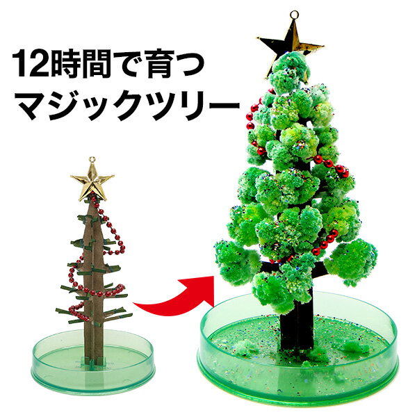 【メール便】 クリスマス ツリー 卓上 ミニ マジックツリー マジッククリスマスツリー 12時間で育つ不思議なツリー クリスマス プレゼント 置き物 雑貨 インテリア【おとぎの国】