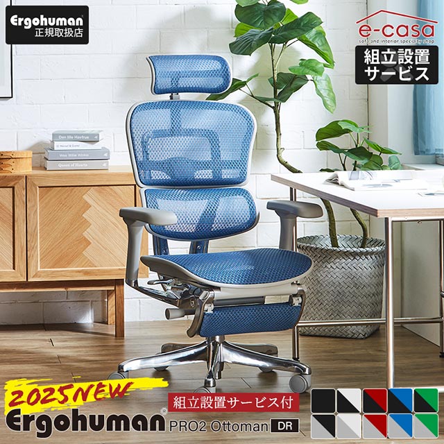 2025年新型 レビュー特典あり 組立設置付 エルゴヒューマン プロ2 Ergohuman Pro2 ottoman オットマン 在宅ワーク ハイタイプ人気 メッシュ 正規品 オフィスチェア ゲーミングチェア EHP2-LPL-DR 関家具 正規代理店