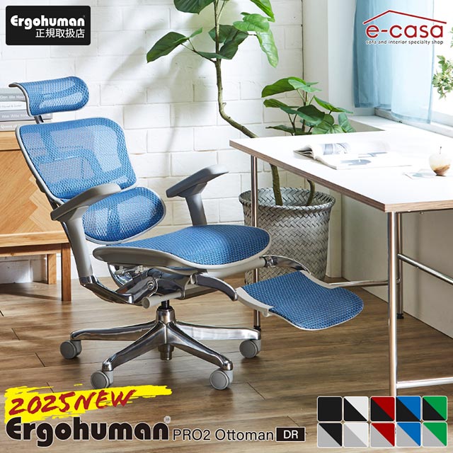 2025年新型 レビュー特典あり エルゴヒューマン プロ2 Ergohuman Pro2 ottoman オットマン 在宅ワーク ハイタイプ人気 メッシュ 正規品 オフィスチェア ゲーミングチェア パソコンチェア EHP2-LPL-DR 関家具 正規代理店