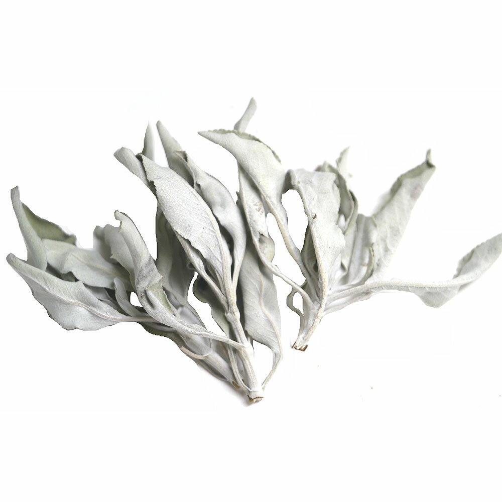 セイクリッド ホワイトセージ 無農薬 20g 浄化用アメリカより直輸入だからこの価格 ポスト投函配送選択可能です 2袋毎に送料1通分が掛かります 天然ホワイトセージ　クラスター20グラム 乾燥剤入り スマッジング お香作りに インセンス
