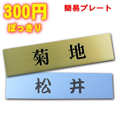 ネームプレート　楽天リアルタイム総合2位獲得実績あり　300円で買える簡単表札