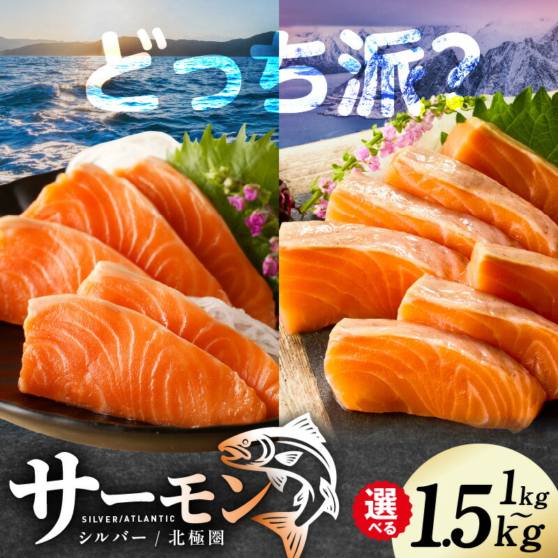 【ふるさと納税】最短翌日発送 サーモン ポーション 1kg / 1.5kg 切り落とし 900g 定期便 訳あり 発送時期が選べる サイズ不揃い 銀鮭 シルバーサーモン 小分け ブロック 柵 刺身 生食 鮮度抜群 冷凍 楽天限定 泉佐野市 送料無料 満足度9割以上 5営業日