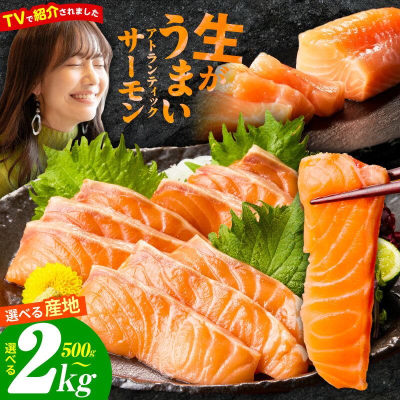 【ふるさと納税】国産サーモンも選べる 500g～ アトランティックサーモン 刺身 サーモン ポーション ブロック 柵 お試し 鮭 訳あり サイズ不揃い 魚 生食 小分け 冷凍 国産 ノルウェー産 ★高評価 発送月大阪府 泉佐野市 送料無料