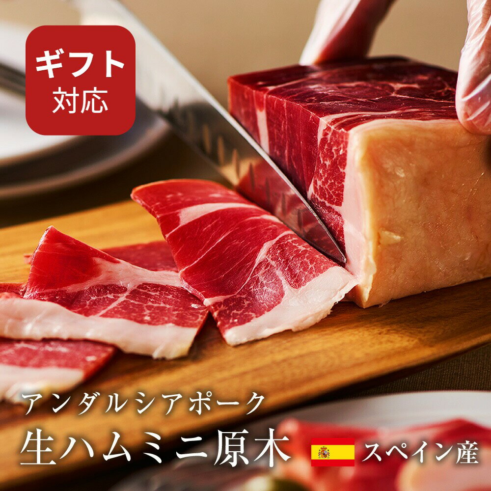 【スーパーSALE限定｜10%OFF】 スペイン産 生ハム ミニ原木 おつまみ ギフト 原木 ブロック 30ヶ月熟成 高級 プレゼント人気 ハム 40代 50代 内祝い 誕生日 食品 お洒落 スペイン 輸入停止 母の日 送料無料 冷蔵