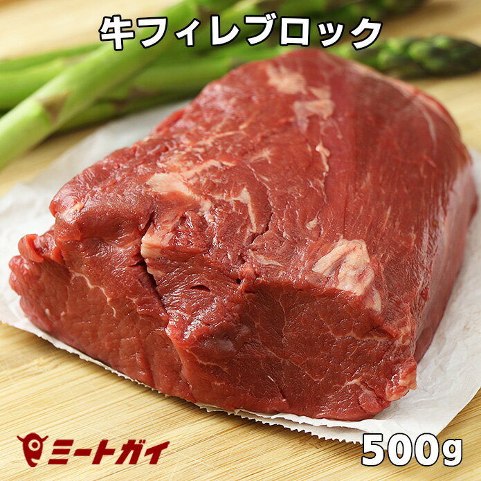 牛ヒレブロック 500gカット (牛フィレ肉かたまり) ステーキ肉/牛肉ステーキ最高級部位！塊肉で焼肉三昧・バーベキュー肉 ステーキ 牛肉 赤身 ●雑誌掲載商品● グラスフェッドビーフ 牧草飼育牛肉/牧草牛 免疫力-B105