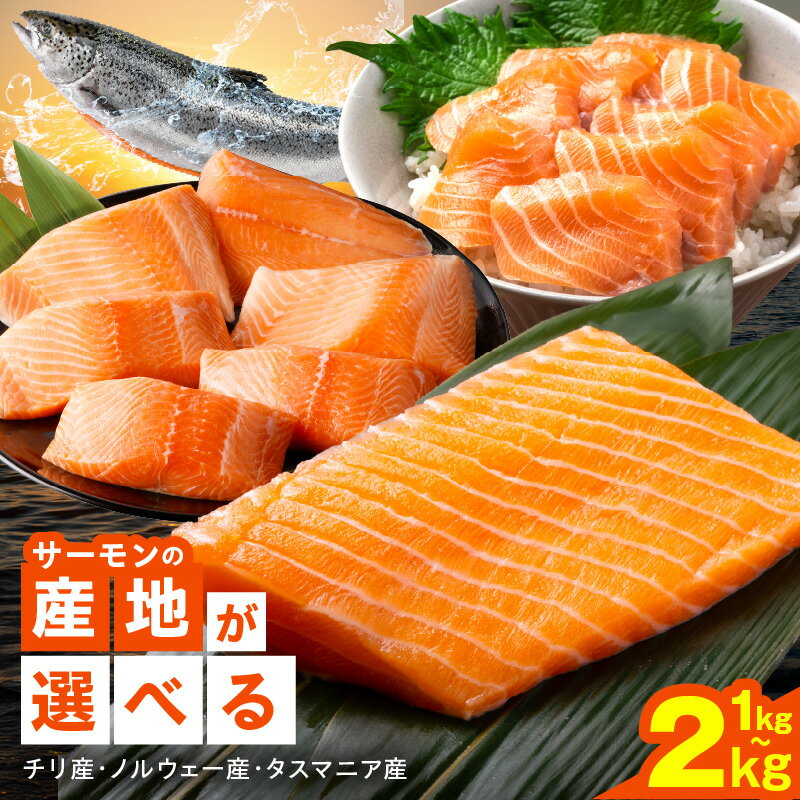 【ふるさと納税】訳あり サーモン 産地が選べる タスマニア産 ノルウェー産 チリ産 1kg 2kg ふるさと納税 刺身 ブロック 高評価 発送月が選べる 鮭 シルバーサーモン アトランティックサーモン 食べ比べ サイズ不揃い 海鮮丼 冷凍 魚介類 海鮮 おかず 泉佐野市 送料無料