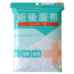 【P最大14倍★スーパーSALE期間限定】腹帯マジックタイプ(1枚入) アメジスト フリーサイズ