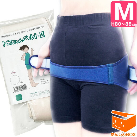 【クーポン有★正規品】★おまけ無し★トコちゃんベルト 2 (M) H80〜88cm 送料無料【青葉正規品】2 l ll 【楽ギフ_包装選択】あす楽可 リモート オフィス 妊婦帯 戌の日 腹帯 ガードル 骨盤 とこちゃんベルト2 ネイビー ホワイト 白 紺 ネイビー