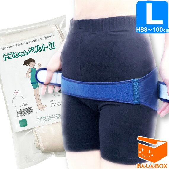 【クーポン有★正規品】★おまけ無し★ トコちゃんベルト 2 (L) H88〜100cm【青葉正規品】白 紺 ネイビー ホワイト 青 あす楽可 2 l ll リモート オフィス 戌の日 腹帯 ガードル 腰痛 とこちゃんベルト2/妊活/骨盤/ホワイト【楽ギフ_包装選択/HLS_DU/RCP】