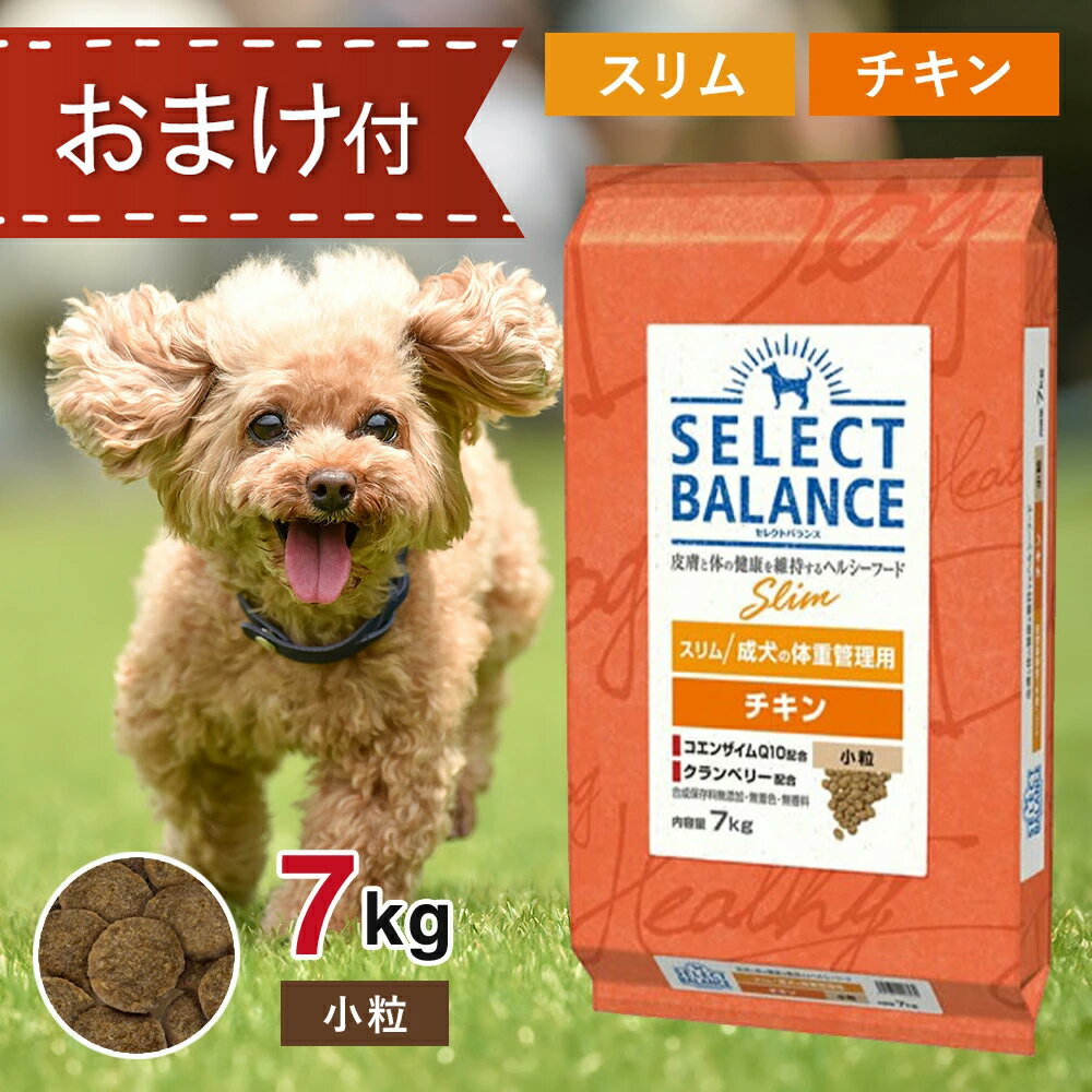 【5と0のつく日限定！10％OFFクーポン配布中！】 セレクトバランス スリム チキン 小粒 7kg ペットフード おやつ ＆ おまけ 付き あす楽 ドッグフード 餌 エサ 犬 成犬 体重管理 低脂肪 低カロリー 皮膚 被毛 関節 筋肉 尿路 健康 免疫力 無添加 無着色 7キロ