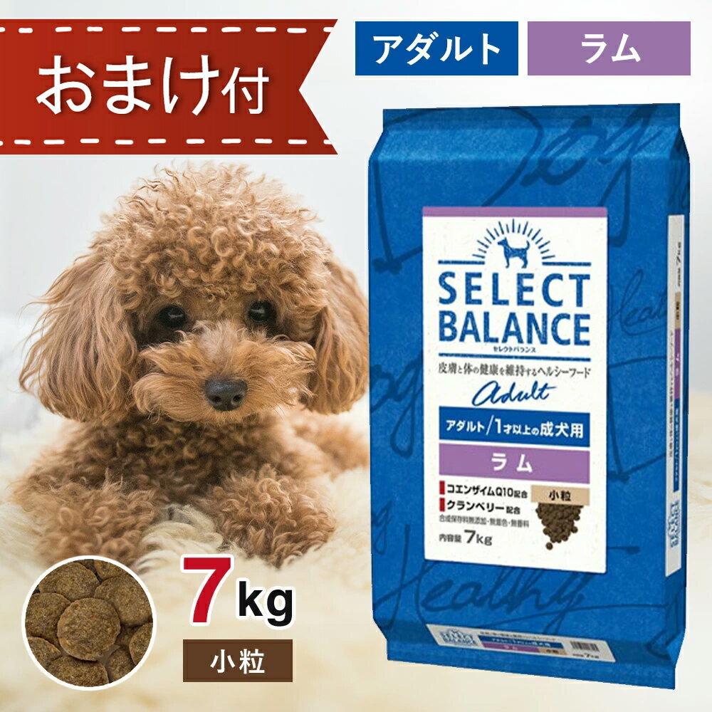 【5と0のつく日限定！10％OFFクーポン配布中！】 セレクトバランス アダルト ラム 小粒 7kg ペットフード おやつ ＆ おまけ 付き ドッグフード 餌 エサ 犬 1歳以上 成犬 低脂肪 低カロリー 皮膚 被毛 関節 健康 免疫力 腸内環境 無添加 無着色 7キロ