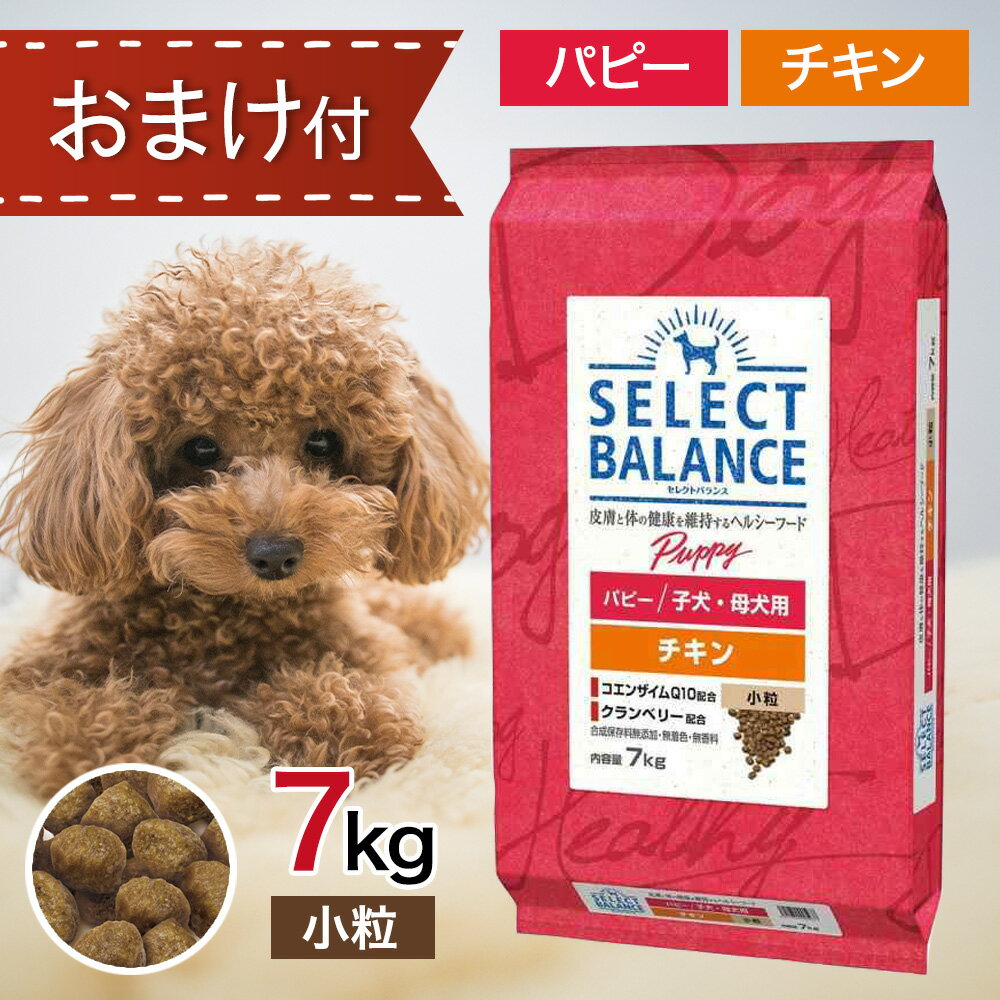 【5と0のつく日限定！10％OFFクーポン配布中！】 セレクトバランス パピー チキン 小粒 7kg ペットフード おやつ ＆ おまけ 付き あす楽 ドッグフード 餌 エサ 犬 1才 未満 子犬 仔犬 発育 妊娠 授乳期 母犬 被毛 尿路 健康 免疫力 腸内環境 無添加 無着色 7キロ