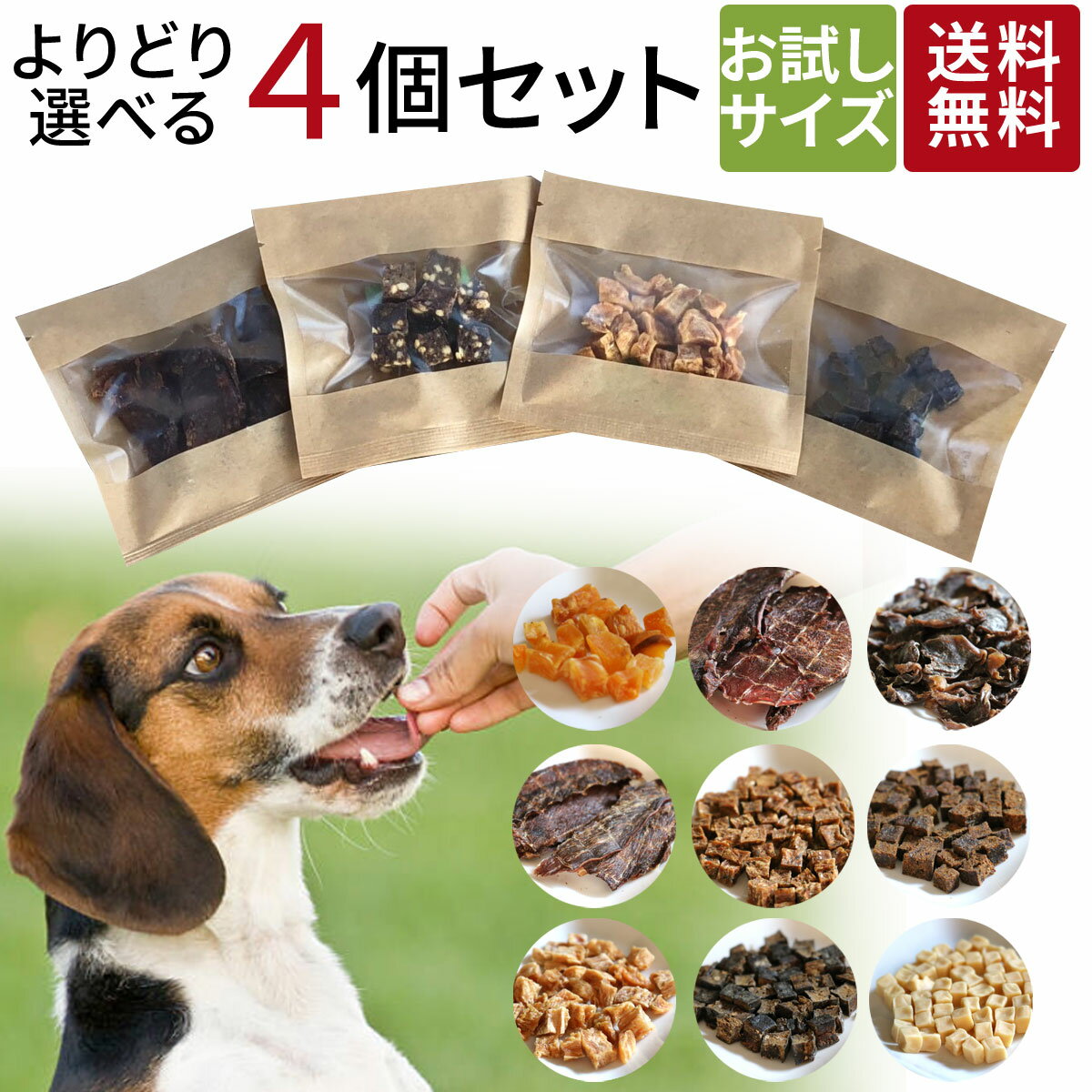 【スーパーSALE P10倍】お試し 超小袋 | 送料無料 犬 おやつ 無添加 どっぐふーどる 国産 鹿肉 ささみ ジャーキー チーズ 詰め合わせ 小型犬 犬のおやつ ドックフード アレルギー 犬おやつ オヤツ 犬用おやつ 小分け