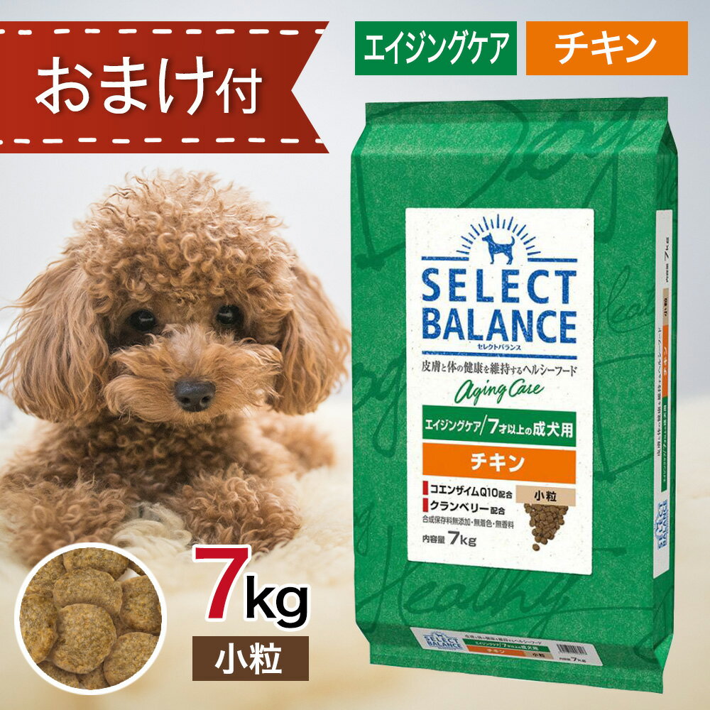 【5と0のつく日限定！10％OFFクーポン配布中！】 セレクトバランス エイジングケア チキン 小粒 7kg ペットフード おやつ ＆ おまけ 付き あす楽 ドッグフード 餌 エサ 犬 7才 以上 成犬 高齢犬 シニア 低脂肪 低カロリー 関節 腸内環境 シニアチキン 7キロ