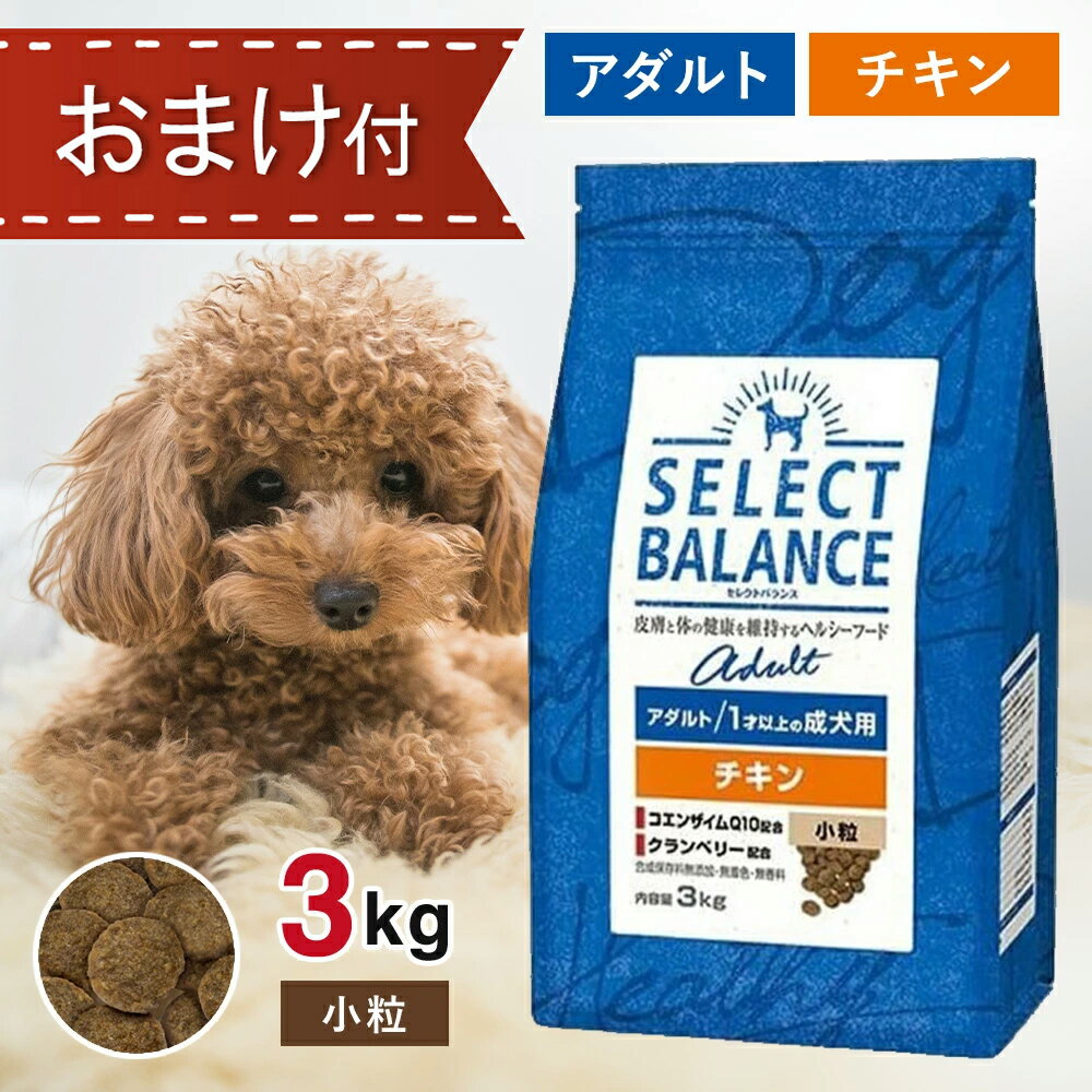 【5と0のつく日限定！10％OFFクーポン配布中！】 セレクトバランス アダルト チキン 小粒 3kg ペットフード おまけ 付き ドッグフード 餌 エサ 犬 成犬 低脂肪 低カロリー 皮膚 被毛 関節 健康 免疫力 無添加 無着色 3キロ