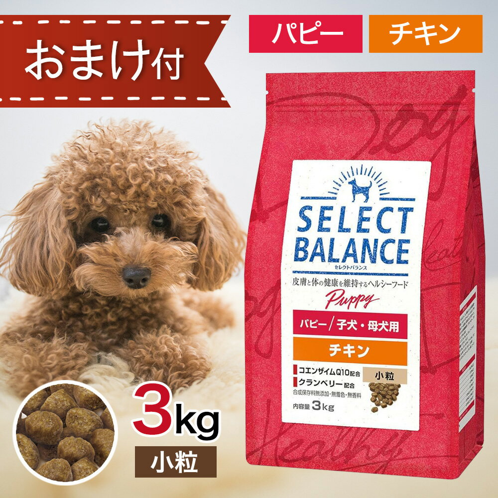 【2時間限定！早い者勝ち10%OFFクーポン配布中！】 セレクトバランス パピー チキン 小粒 3kg ペットフード おまけ 付き ドッグフード 餌 エサ 犬 1才 未満 子犬 仔犬 発育 妊娠 授乳期 母犬 被毛 健康 免疫力 無添加 3キロ