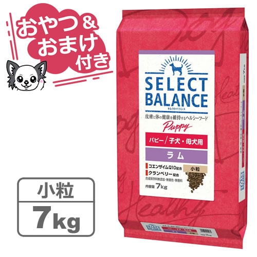 【最大10%OFFクーポン配布中】【おやつ＆おまけ付き♪】セレクトバランス パピー ラム 小粒 7kg　子犬・母犬用 【Select Balance セレクト・バランス （子犬用）】
