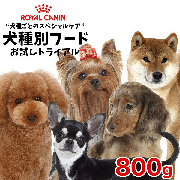 【6/10(水)限定！抽選最大100%P還元＆ポイント5倍※要エントリー】ロイヤルカナン 犬種別シリーズ お試し800g / ダックスフンド チワワ プードル 柴犬 ヨークシャーテリア / 子犬 成犬 高齢犬 / お試しサイズ【RCA】[rev_c]