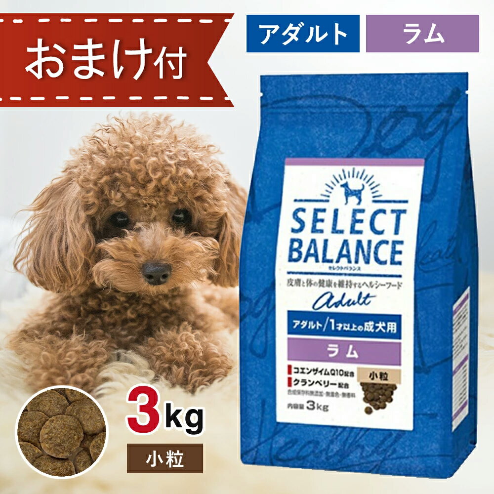 セレクトバランス アダルト ラム 小粒 3kg ペットフード おまけ 付き ドッグフード 餌 エサ 犬 成犬 低脂肪 低カロリー 皮膚 被毛 関節 健康 免疫力 腸内環境 無添加 3キロ