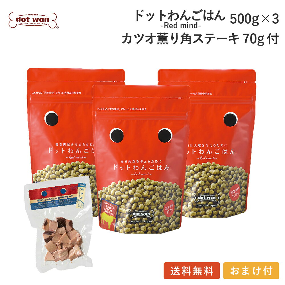 【店内全品ポイント10倍 楽天お買い物マラソン期間中 7/4～7/11】ドッグフード 無添加 国産 牛 ごはん おすすめ シニア犬用 手作りごはん 低温乾燥 ドットわん ごはん 3個 カツオ薫り角ステーキ70g付セット 総合栄養食 ドライフード ドッグフード 牛ごはん 全犬種 年齢対応