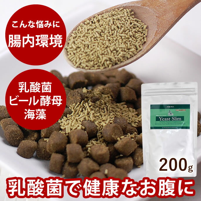 【割引クーポン配布中】犬 サプリメント 乳酸菌 イーストスリム お得エコパック 200g ビール酵母　腸内環境の健康維持に　犬猫用　国産　顆粒