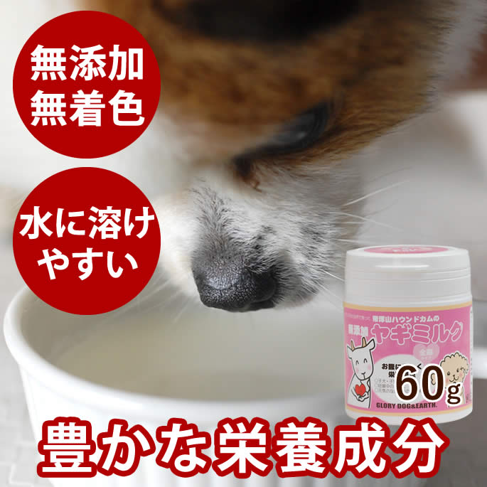 【P2倍＆割引クーポン配布中】犬 ヤギミルク 60g 無添加 ゴートミルク 粉末 パウダー 犬 猫 子犬 カルシウム　タウリン　手作り食　やぎミルク愛用の方へ 優しいミルク　ドッグフード 猫用 高齢 いぬ 犬用ヤギミルク