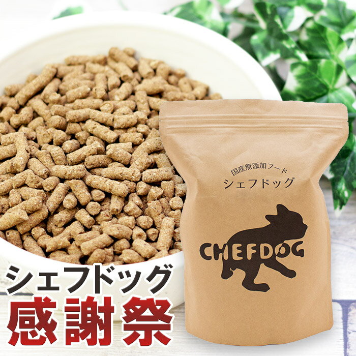 【クーポンで今だけお得！/楽天1位/獣医師推奨】ドッグフード 無添加 国産 800g 総合栄養食 生肉 旬魚 アレルギー 毛並み 皮膚 目 涙やけ におい 犬 おやつ ペットフード 小食 偏食 小粒 フード シニア 老犬 小型犬 中型犬 ペット 用品 セール お得 割引 シェフドッグ 感謝祭