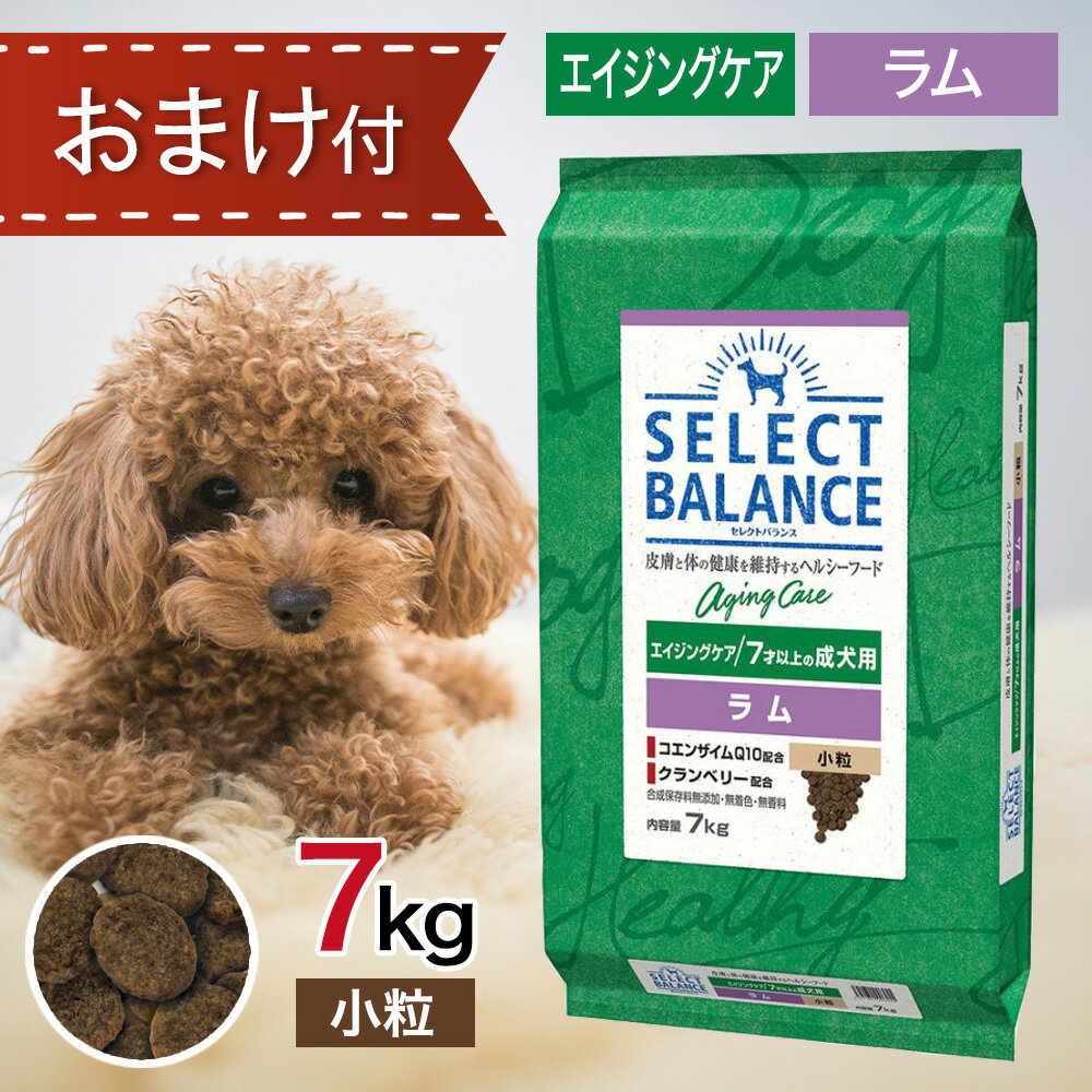 セレクトバランス エイジングケア ラム 小粒 7kg ペットフード おやつ ＆ おまけ 付き ドッグフード 餌 エサ 犬 7才 以上 成犬 高齢犬 シニア 低脂肪 低カロリー 関節 腸内環境 コエンザイムQ10 7キロ