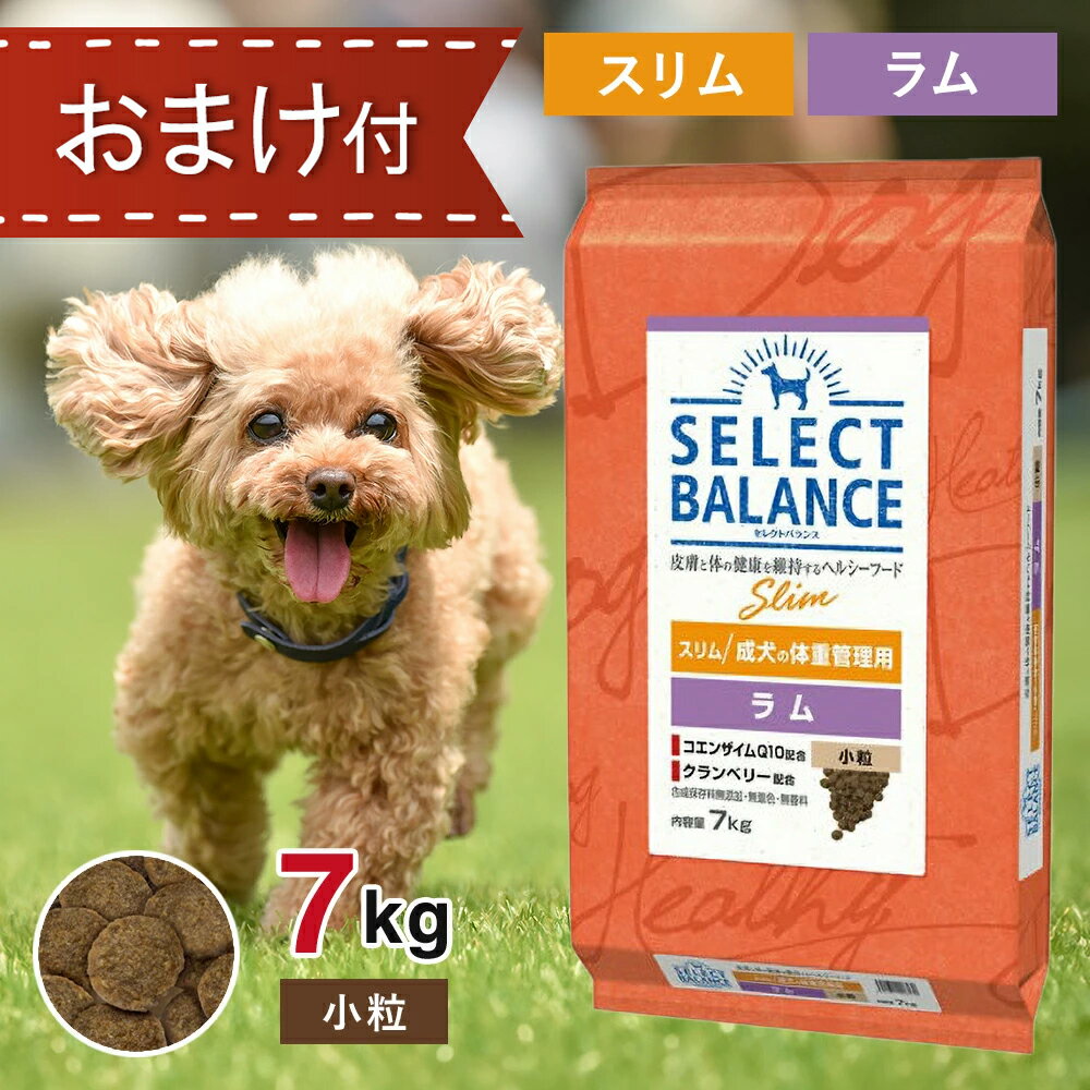 【要エントリー抽選で最大100％ポイントバック！】 セレクトバランス スリム ラム 小粒 7kg ペットフード おやつ ＆ おまけ 付き ドッグフード 餌 エサ 犬 成犬 体重管理 低脂肪 低カロリー 皮膚 被毛 関節 筋肉 尿路 健康 免疫力 無添加 無着色 7キロ