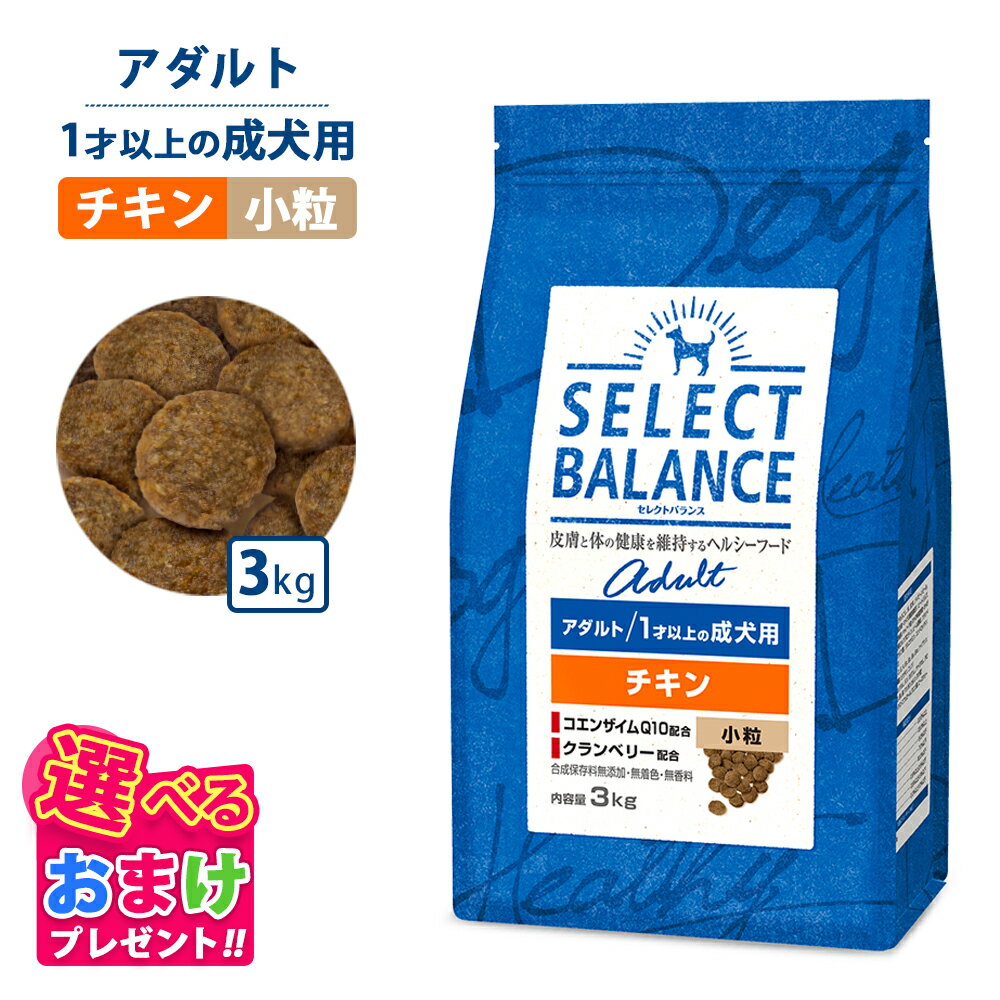 10％OFF クーポン ポイント10倍 おまけ付き セレクトバランス アダルト チキン 小粒 3kg 3キロ 成犬用 ドッグフード 犬 イヌ 成犬 ペット 健康 無着色 無香料 無添加 総合栄養食