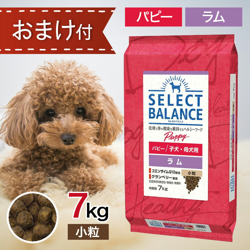 セレクトバランス パピー ラム 小粒 7kg ドッグフード 無添加