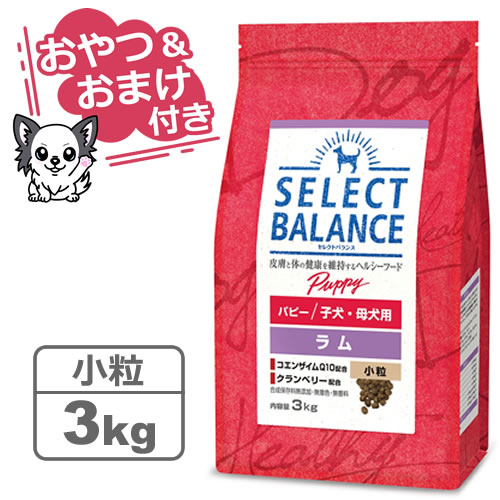 【クーポン配布中】【おやつ＆おまけ付き♪】セレクトバランス パピー ラム 小粒 3kg　子犬・母犬用 【Select Balance セレクト・バランス （子犬用・母犬用）】