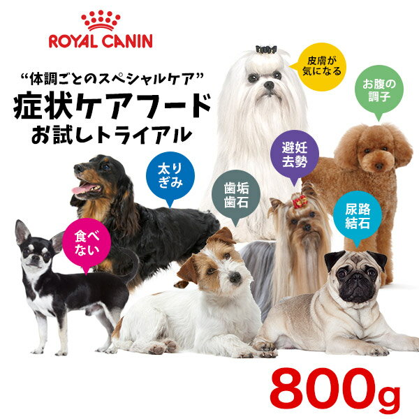【9/15限定！抽選で最大100%P還元※要エントリー｜ポイント最大38.5倍】ロイヤルカナン ケア別シリーズ お試しサイズ1袋(800g or 1kg) / ダックス チワワ プードル 柴犬 ヨークシャーテリア/小型犬 成犬 高齢犬 /太り気味 避妊 去勢 食欲 皮膚 アレルギー[rev_c]
