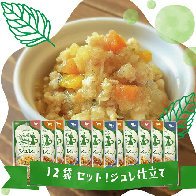 ＼ LINE登録で300円OFFクーポン／【 送料無料 】【選べる12袋セット】Yum Yum Yum！ ヤムヤム ジュレ仕立て 3種 チキン かつお 馬肉【yum yum yum！ 犬 フード 無添加 国産】