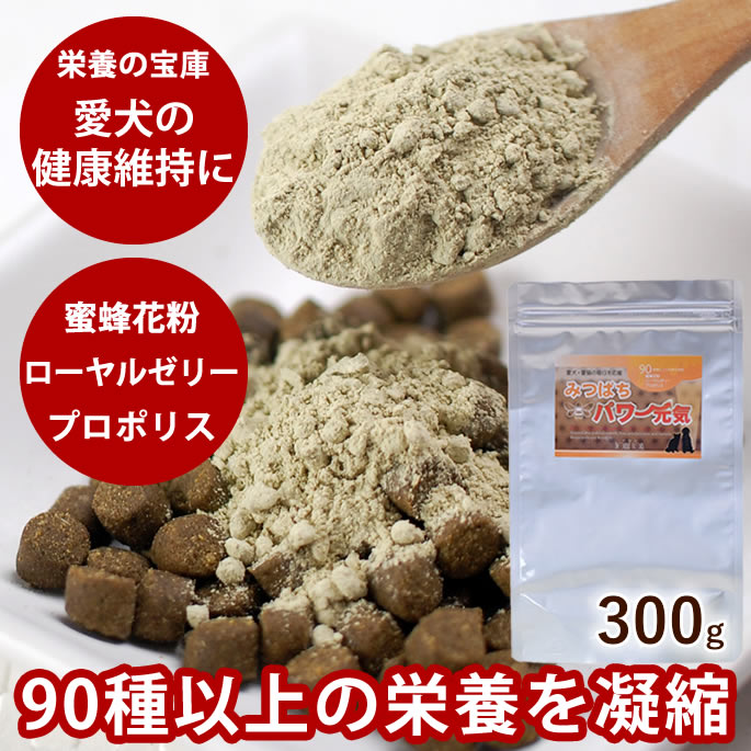 みつばちパワー元気　300g 犬用 サプリ 犬 サプリメント お得エコパック 老犬 仔犬 酵素 高齢犬 シニア みつばちパワー元気 フード ドッグフード 粉末 ドッグ