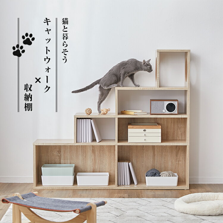 [楽天スーパーSALE！6/4 20:00~6/11 1:59] キャットウォーク キャットタワー 棚 壁 収納 猫 家具 木製 猫タワー オープンラック 階段 キャットハウス シェルフ おしゃれ 本棚 壁面収納 収納棚 リビング収納 ディスプレイラック スリム 省スペース 木目調