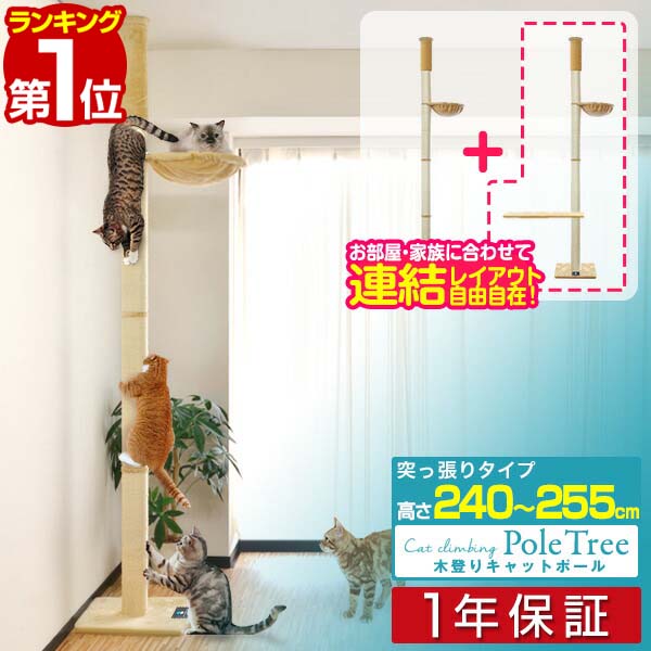 【楽天1位】キャットツリー 突っ張り 直径 10cm 高さ 240 – 255cm 幅 40cm ハンモック付き 猫タワー シニア 運動不足 猫ちゃん 木登り 木登りタワー 木登りキャットポール 組み立て 設置 簡単 爪とぎ 多頭 猫 ねこ ペット スリム 1年保証 ■[送料無料]