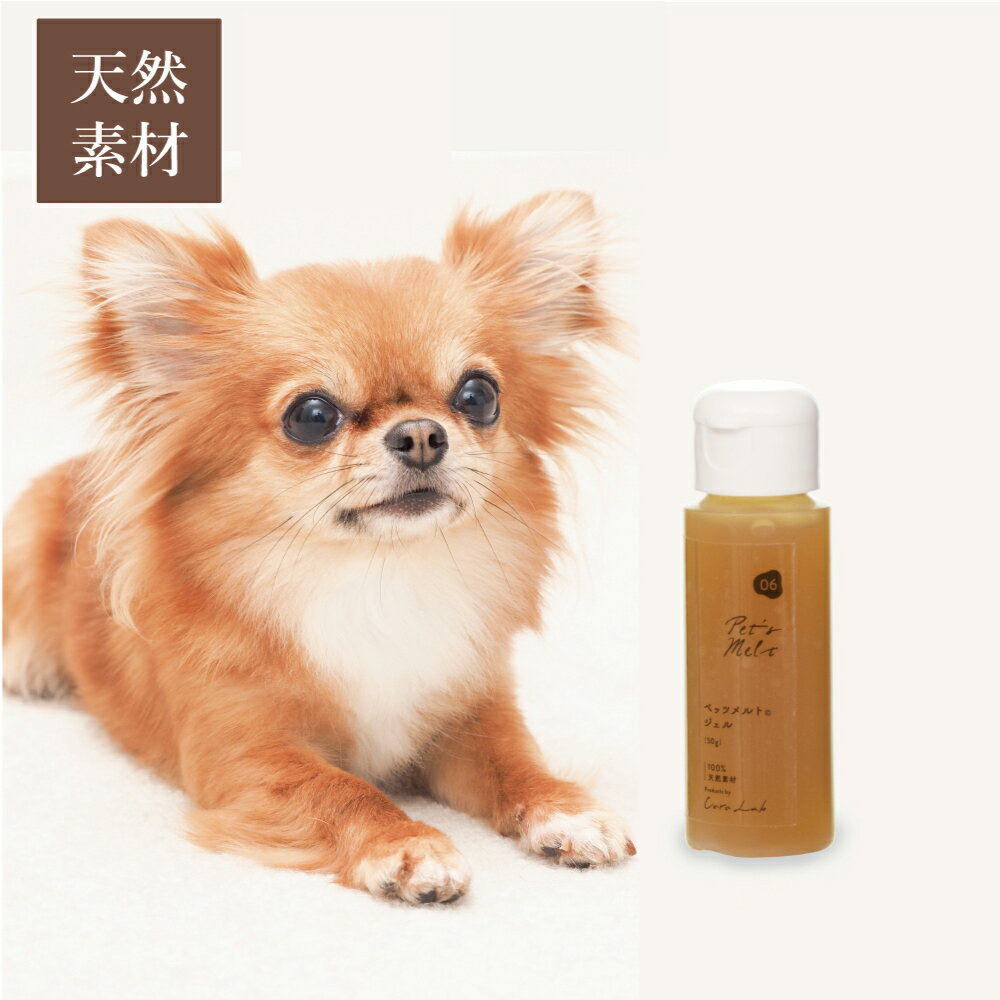 Pet’s Melt ペッツメルトジェル 48g　（ペットの乳酸菌生産物質 無添加 ペット用サプリメント KS菌 口腔ケア 歯茎 クリスマス島の塩 波動水 喜界島黒糖 スキンケア 善玉菌 腸内環境 犬 猫 動物 ）