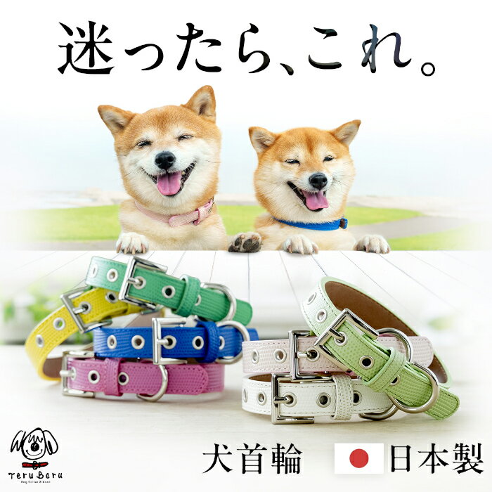 犬 首輪 犬首輪 犬の首輪 おしゃれ かわいい ブランド 名入れ 迷子札 中型犬 いぬ くびわ 革 レザー 皮 軽い 柴犬 犬用首輪 OTM-2