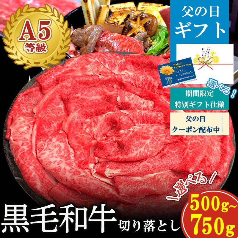 【 グルメ大賞受賞】 黒毛和牛A5等級切り落とし 500g～ 750g 【送料無料】（ギフト用折箱も）「すき焼き肉 ギフト 父の日 贈り物 国産和牛 高級 送料無料 国産牛 即日 しゃぶしゃぶ 鍋 焼肉 和牛 A5 大判 プレゼント スライス 贈答 熨斗 」