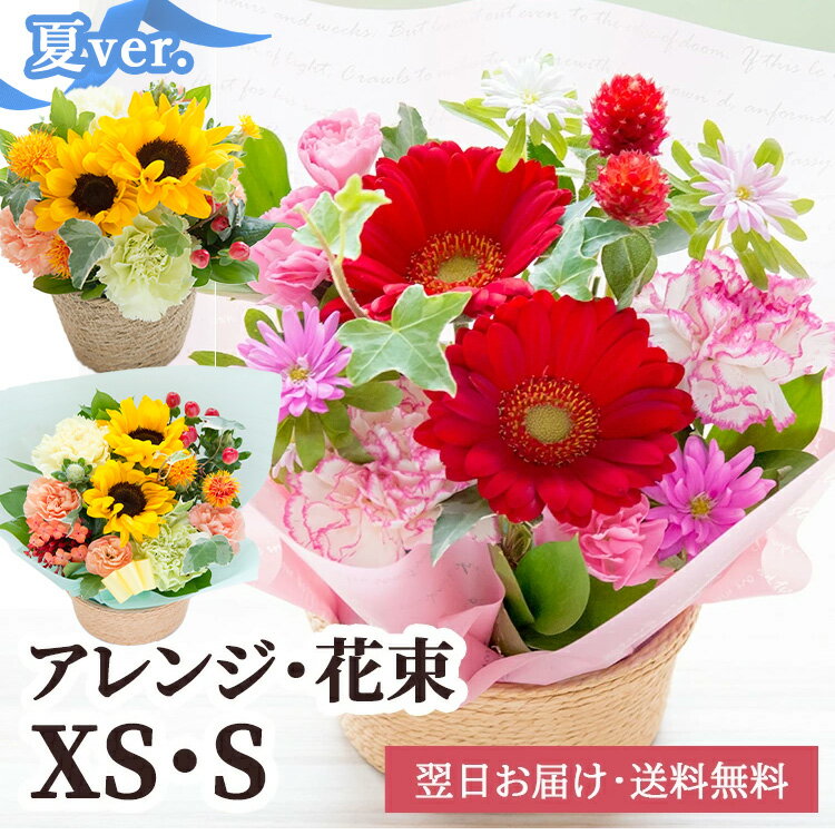 花 誕生日 お祝い 店長のおまかせフラワーギフト 花束 アレンジメント ブーケ ひまわり 赤 ピンク 黄色 青紫 白 お花 ギフト 退職祝い 結婚祝い 結婚記念日 女性 送別会 ペットお供え プチギフト 父の日 【メッセージカード】最強配送 即日出荷